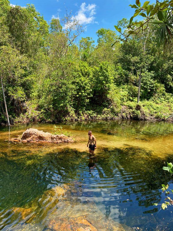 A man is standing in the middle of a river surrounded by trees.