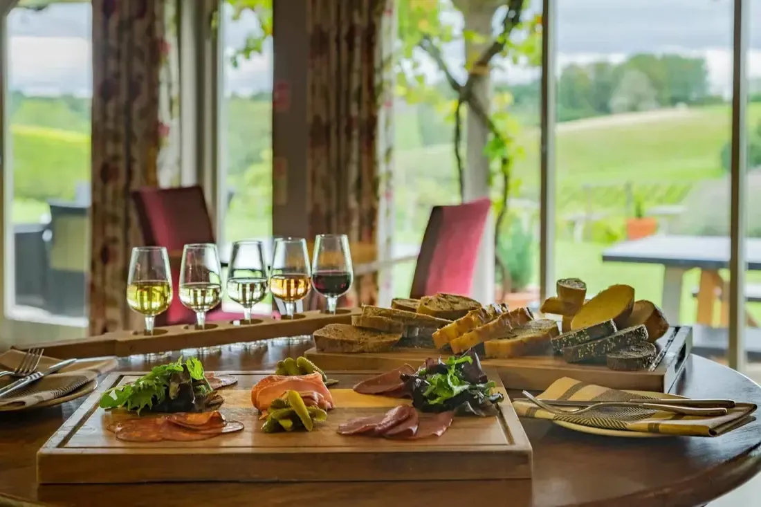 A table with wine glasses and a cheese board overlooking a vineyard. The scene is outdoors, with rolling green hills in the background.