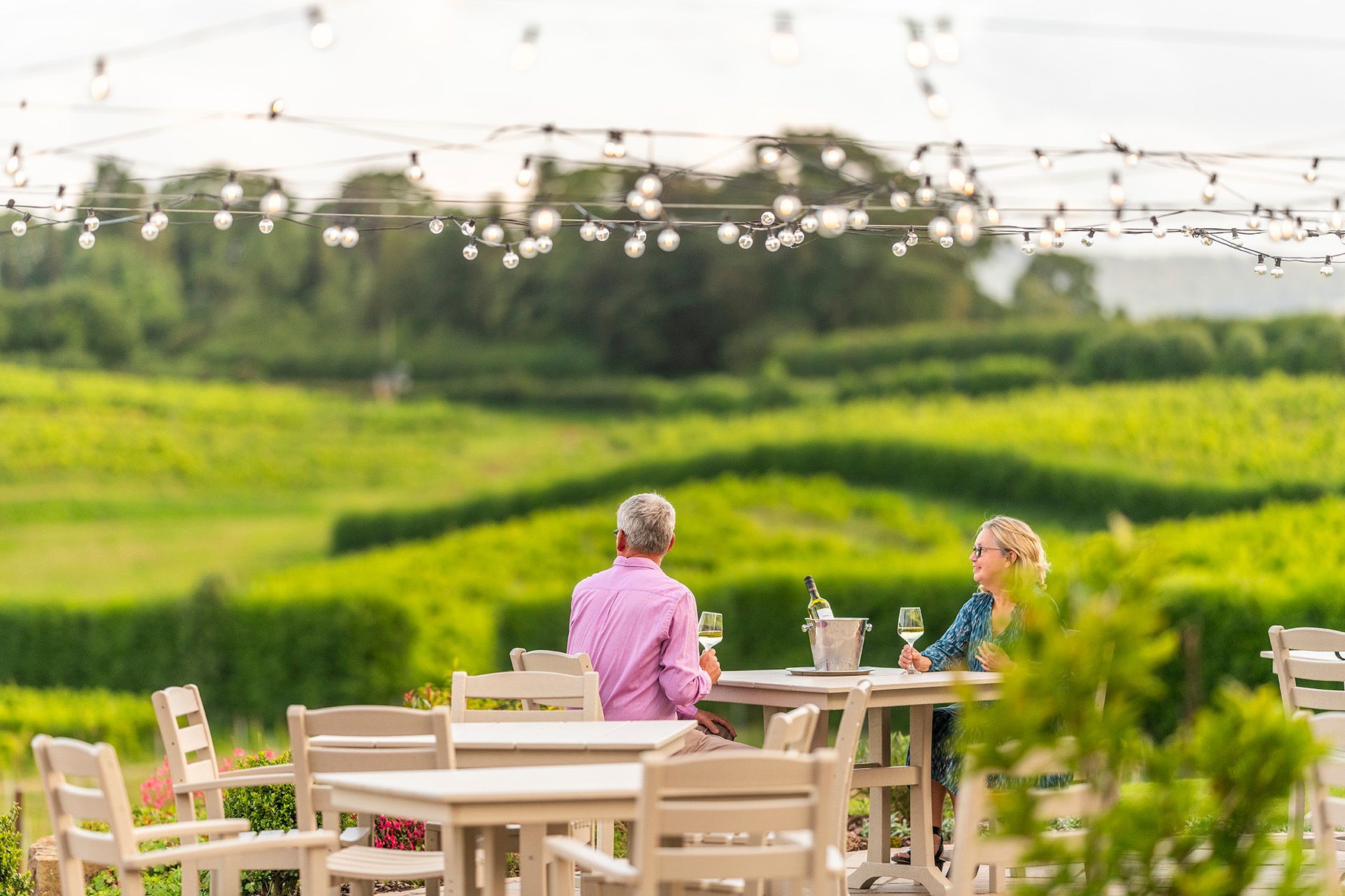 A man and a woman are sitting at tables in front of the vineyard.