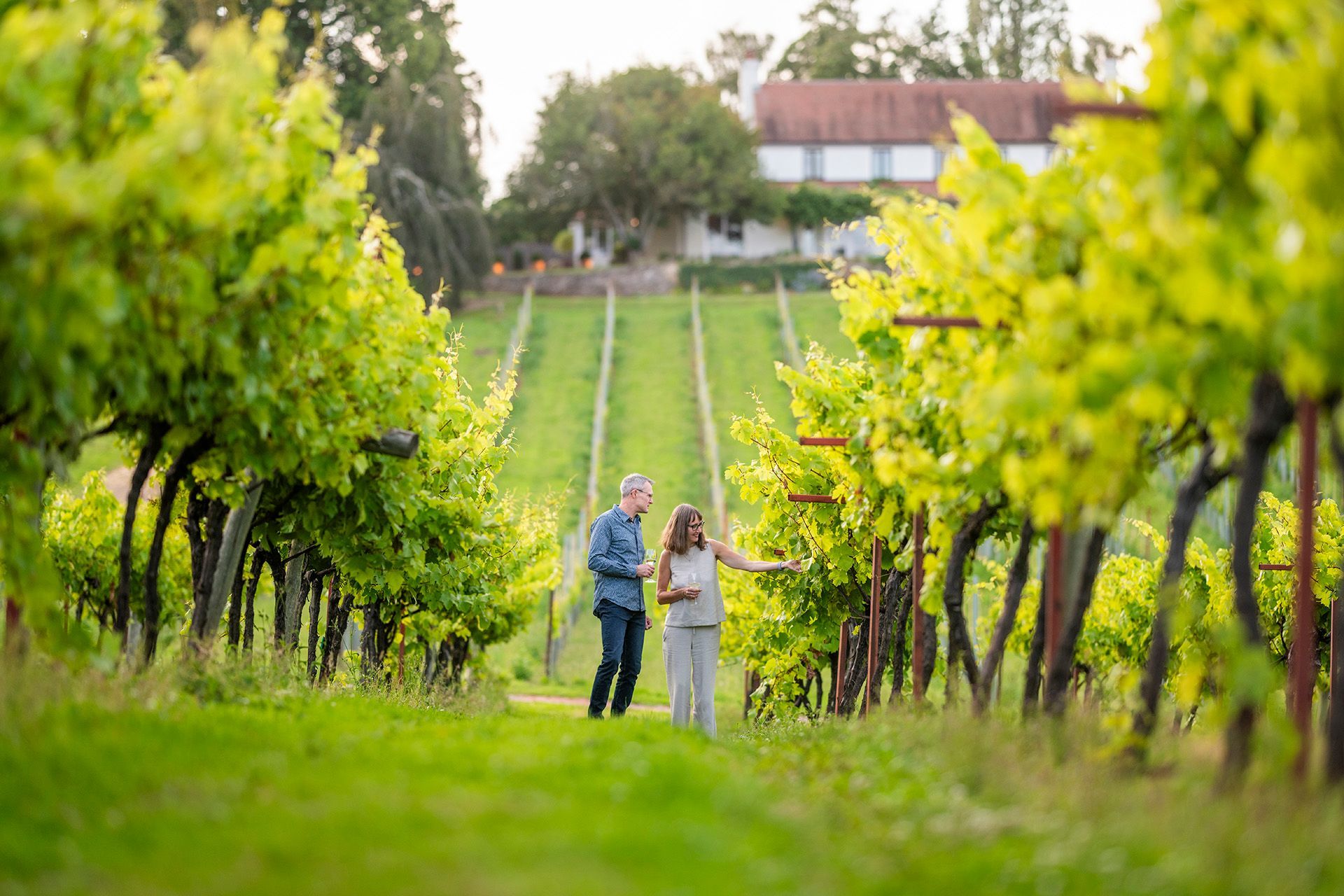 a man and a woman are standing in a vineyard talking to each other .