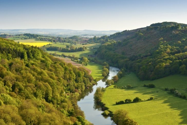 Bicycle tire tracks in snow on a path through a forest under a blue sky.