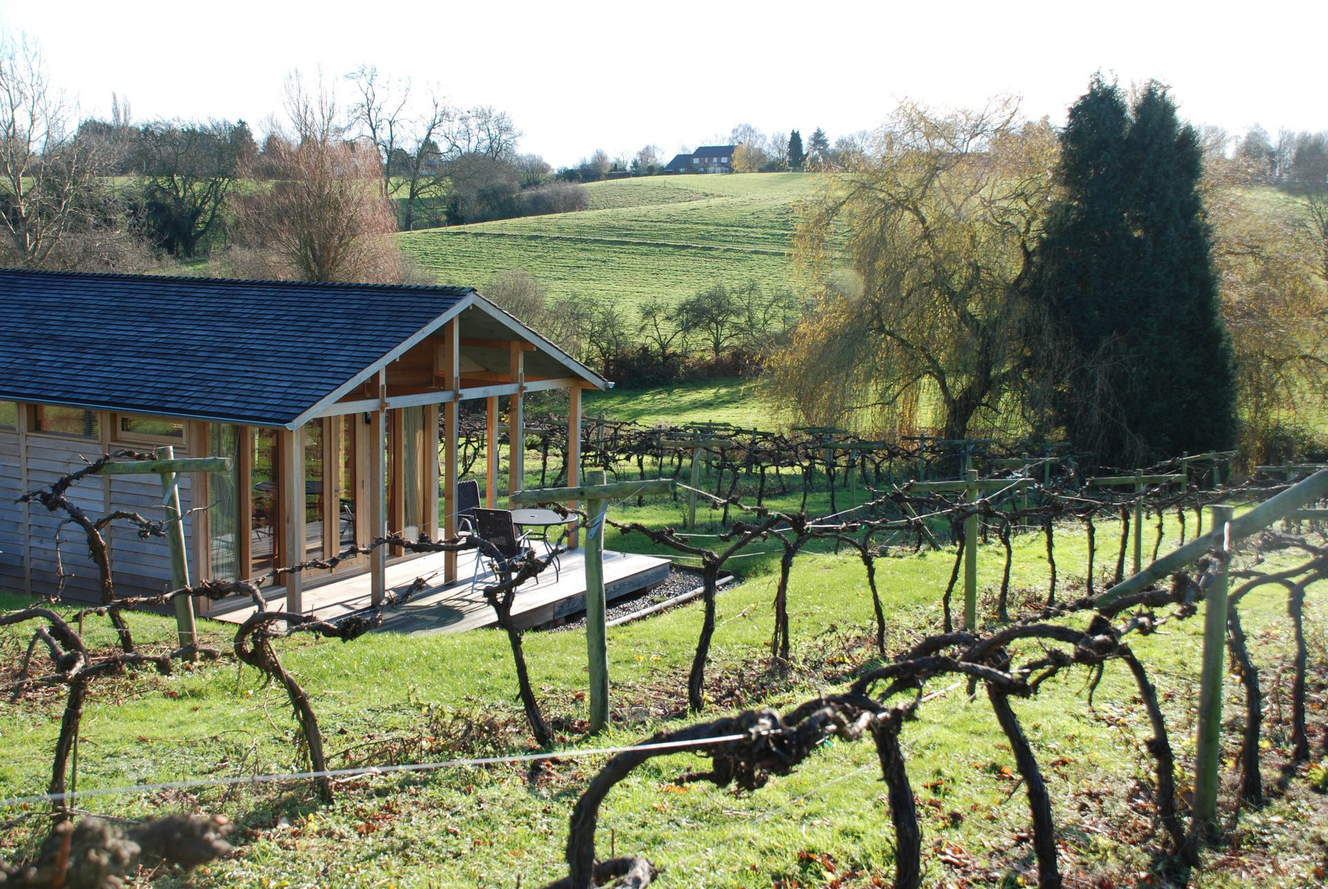 a bedroom with a large bed and a view of a vineyard