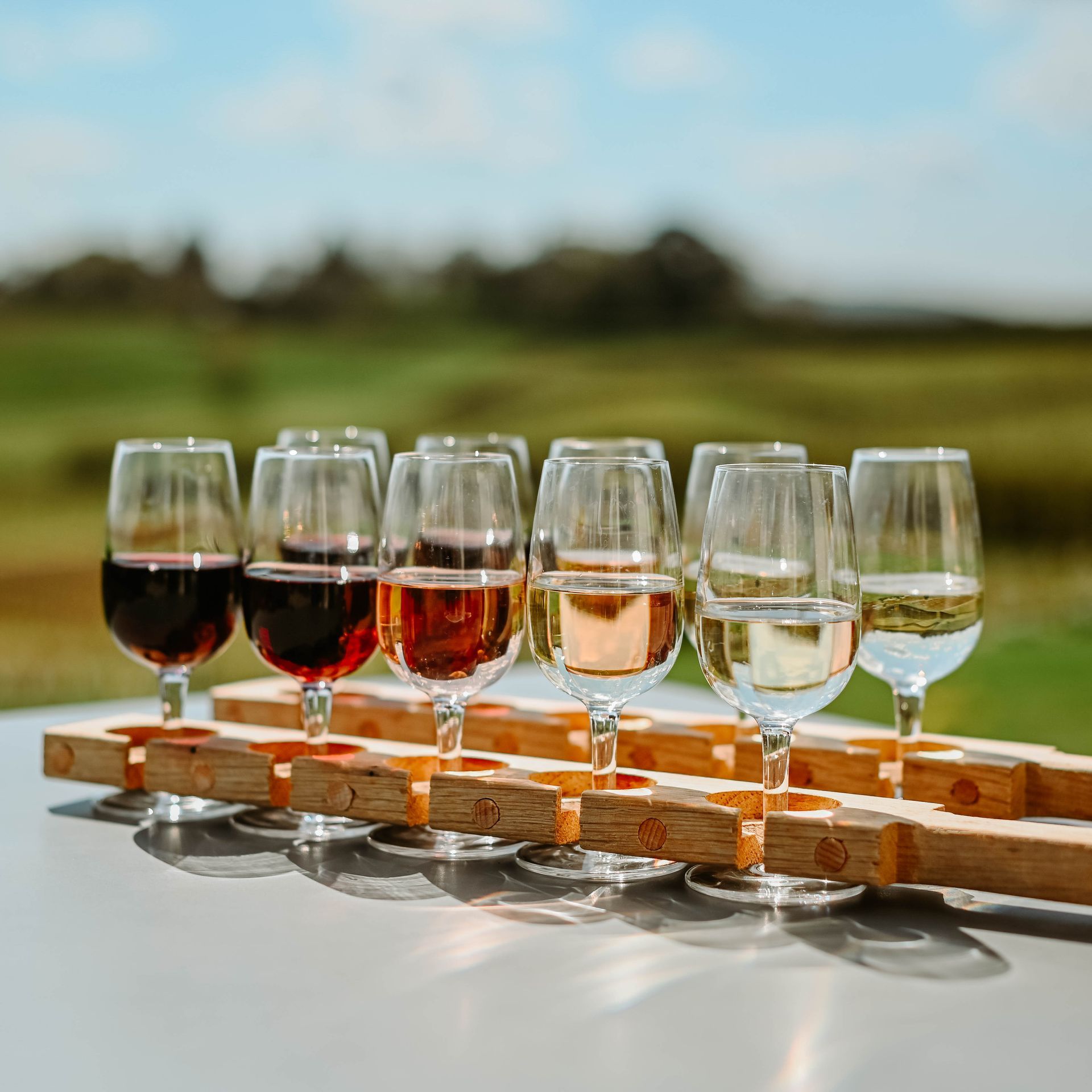 Wine flight with glasses of various colored wines on a wooden carrier outdoors with a green field in the background.