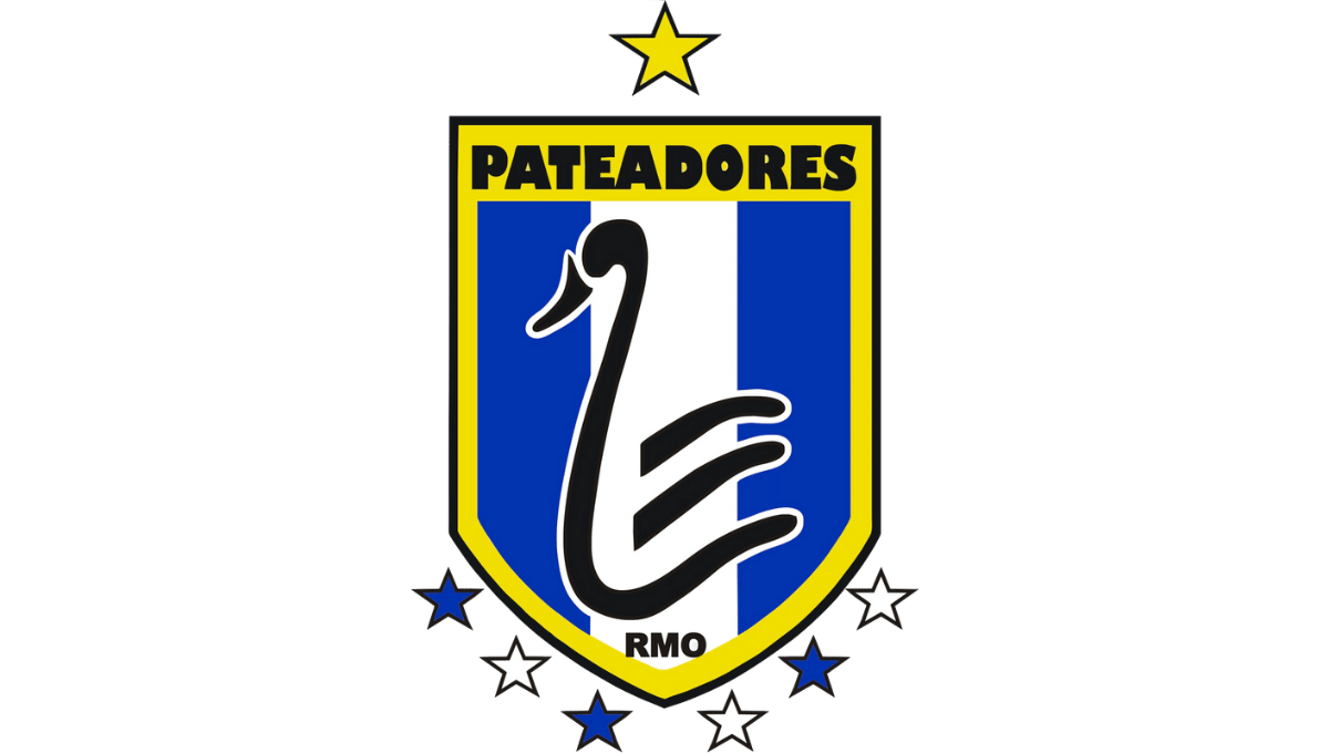 www.pateadores.org