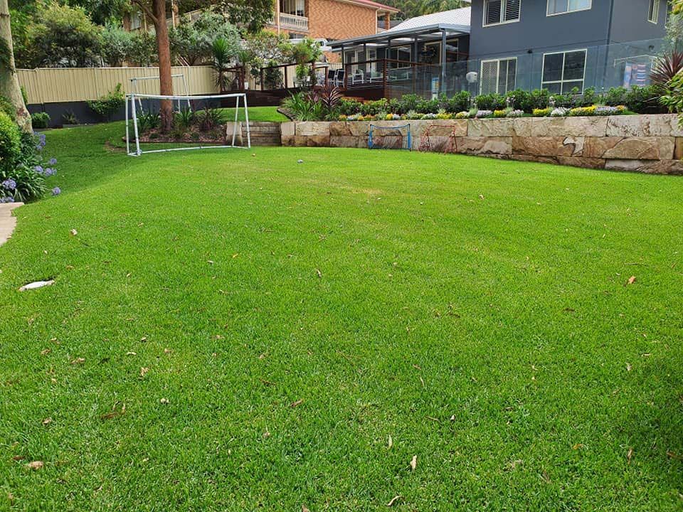 A Large Lawn With A Soccer Goal In The Background — Green Envy Landscape & Garden Services In Cameron Park NSW