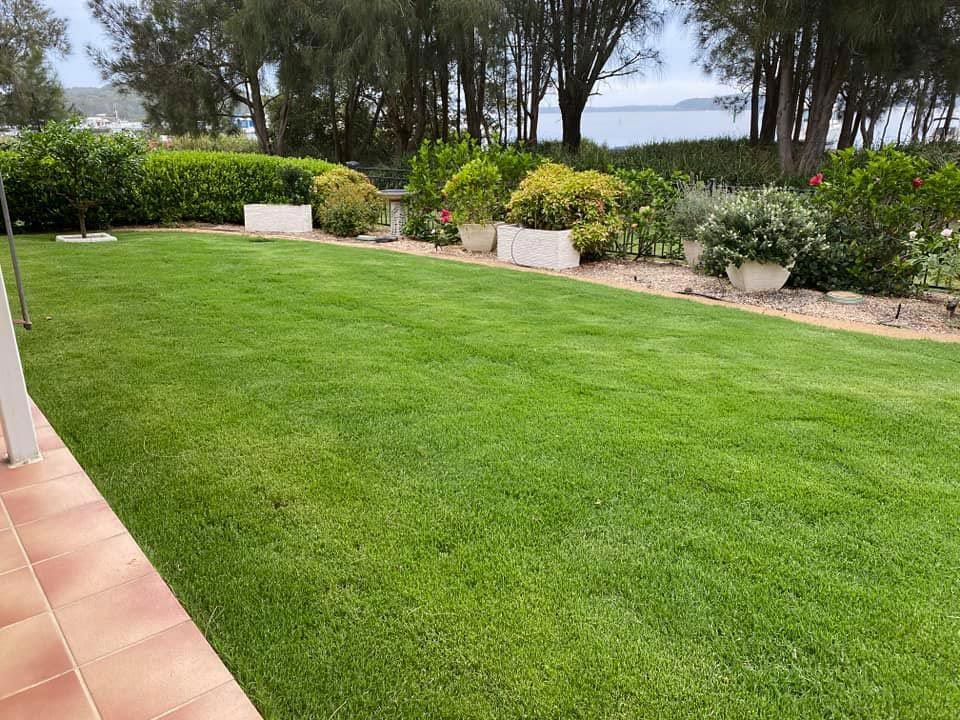 A Large Lush Green Lawn With Trees In The Background — Green Envy Landscape & Garden Services In Cameron Park NSW