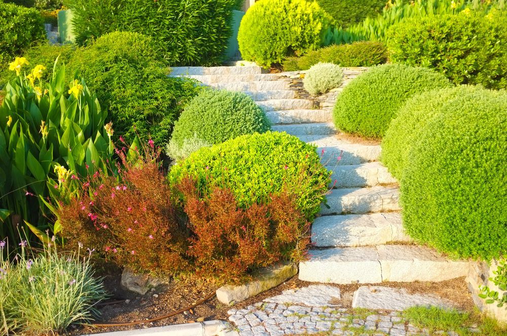 A stone path leading up to a set of stairs in a garden — Green Envy Landscape & Garden Services In Cameron Park NSW