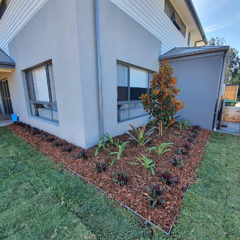 A House With A Lush Green Lawn And A Garden In Front Of It — Green Envy Landscape & Garden Services In Cameron Park NSW