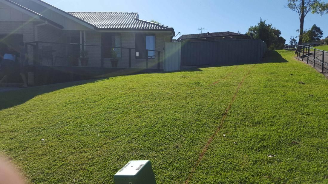 Lush Green Lawn in Front of a House With a Dark Fence on the Right Side — Green Envy Landscape & Garden Services In Cameron Park NSW