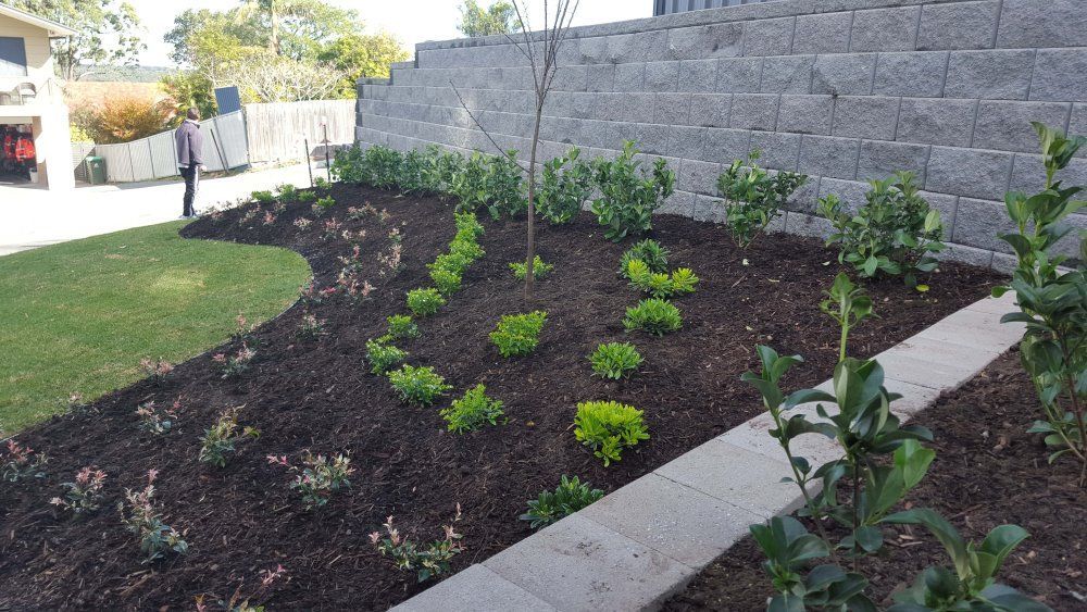 A Garden With A Walkway And A Brick Wall In The Background — Green Envy Landscape & Garden Services In Cameron Park NSW