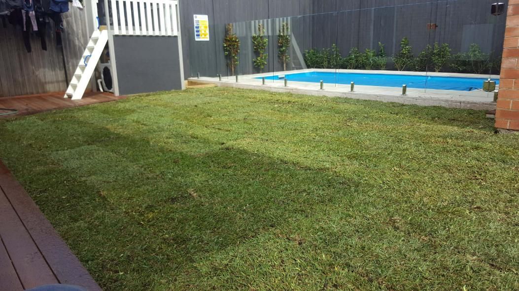 A Backyard With a Lush Green Lawn, a Small Pool, and a Playset — Green Envy Landscape & Garden Services In Cameron Park NSW