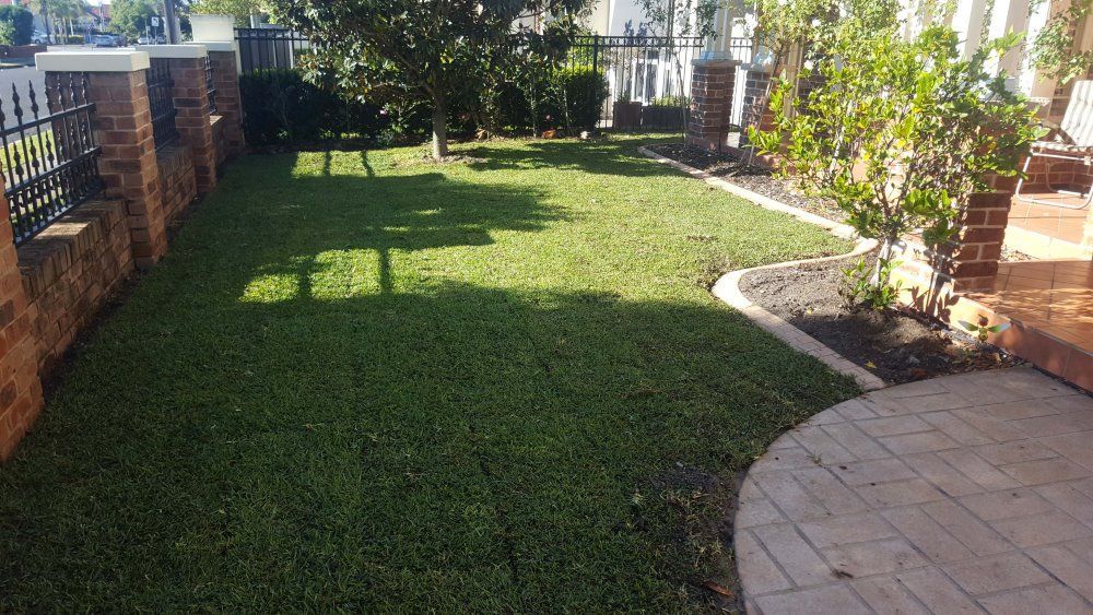 A Lush Green Lawn With A Brick Fence And A Backyard Of A House — Green Envy Landscape & Garden Services In Cameron Park NSW