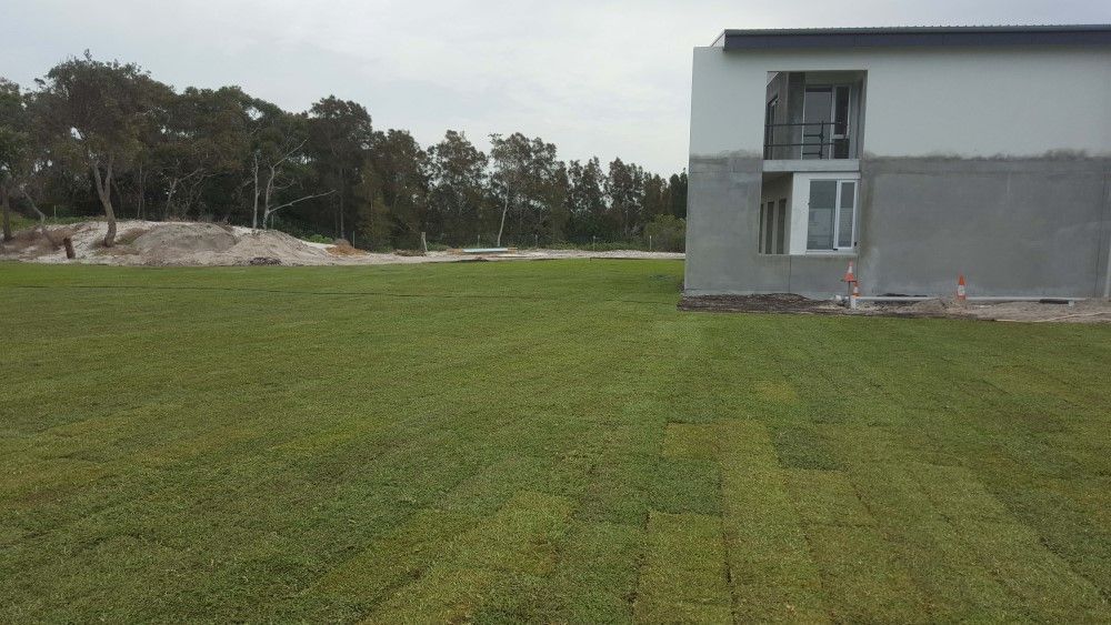 A Large Lawn In Front Of A Building Under Construction — Green Envy Landscape & Garden Services In Cameron Park NSW