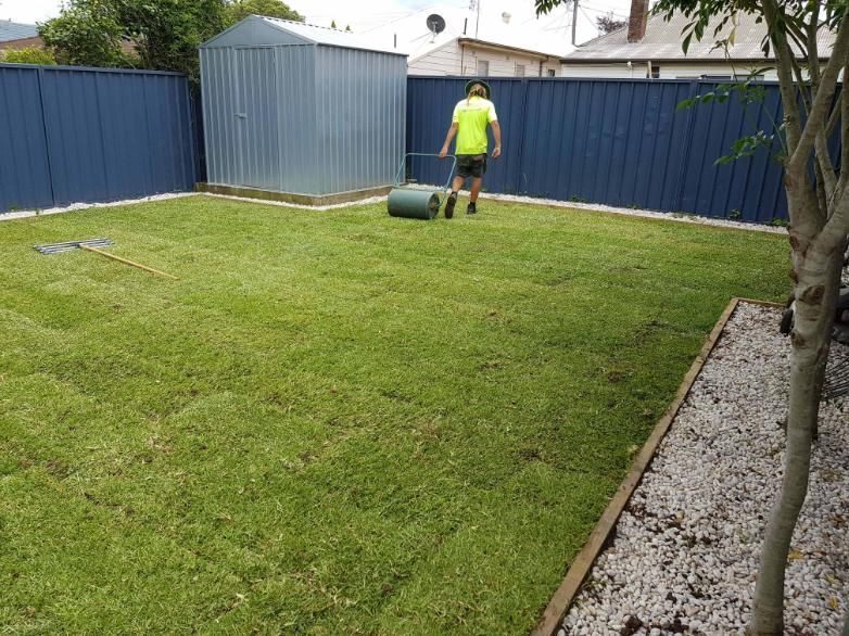 A Person Rolling a Lawn Roller on a Freshly Cut Green Lawn in a Backyard — Green Envy Landscape & Garden Services In Cameron Park NSW