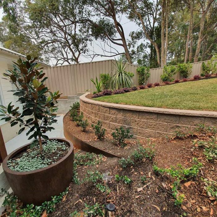 A Large Potted Plant Is Sitting In The Middle Of A Garden— Green Envy Landscape & Garden Services In Cameron Park NSW