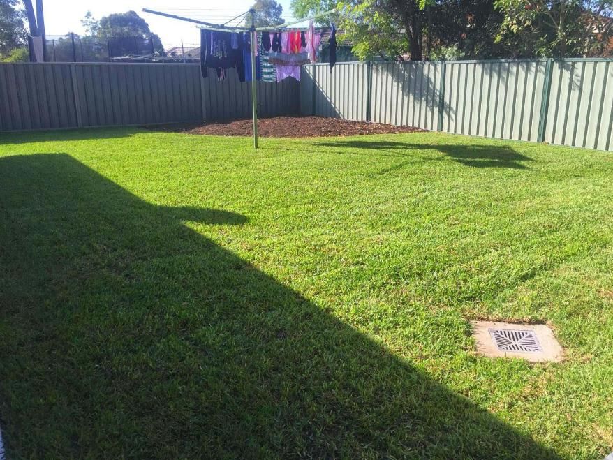 Green Lawn in a Backyard With a Clothesline and Wooden Fence — Green Envy Landscape & Garden Services In Cameron Park NSW