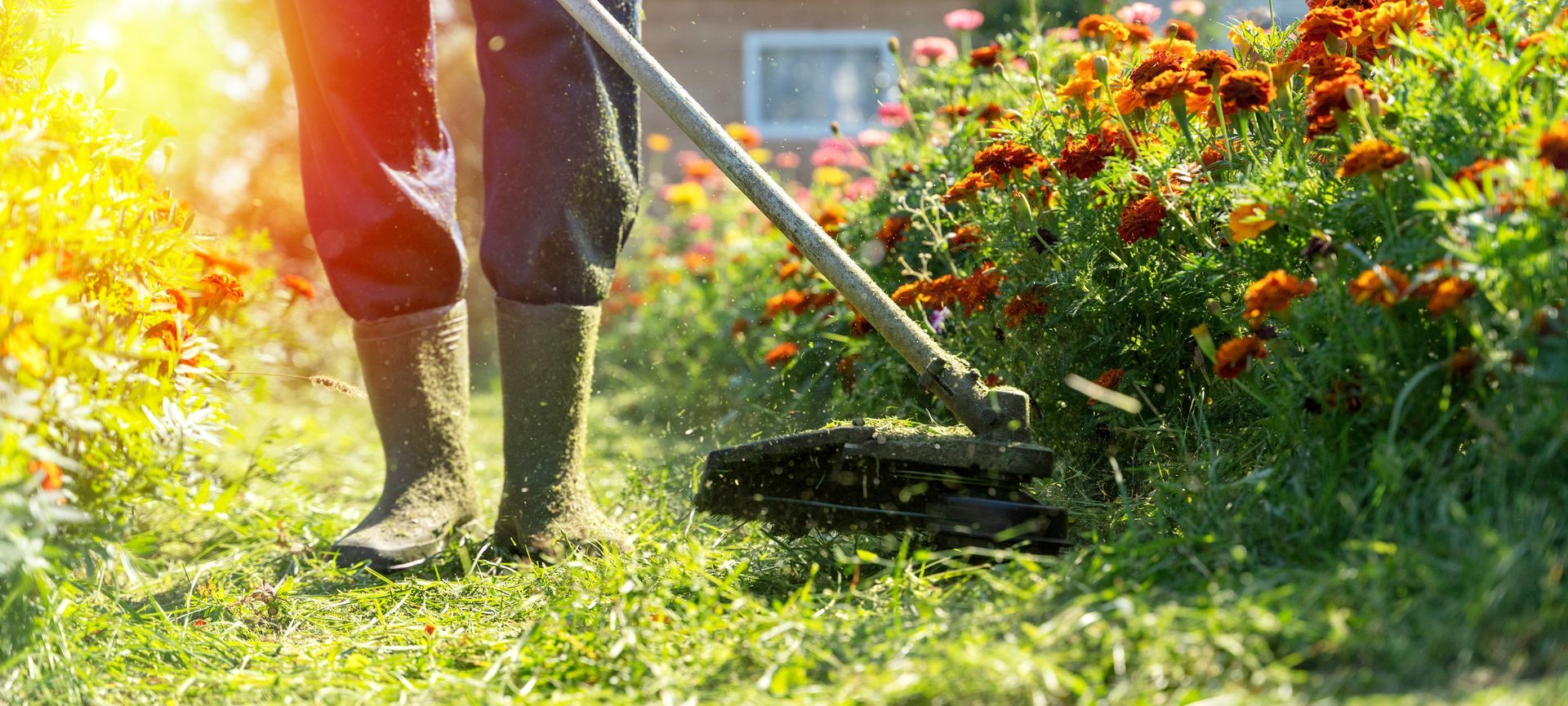 A man is cutting grass with a lawn mower in a garden.