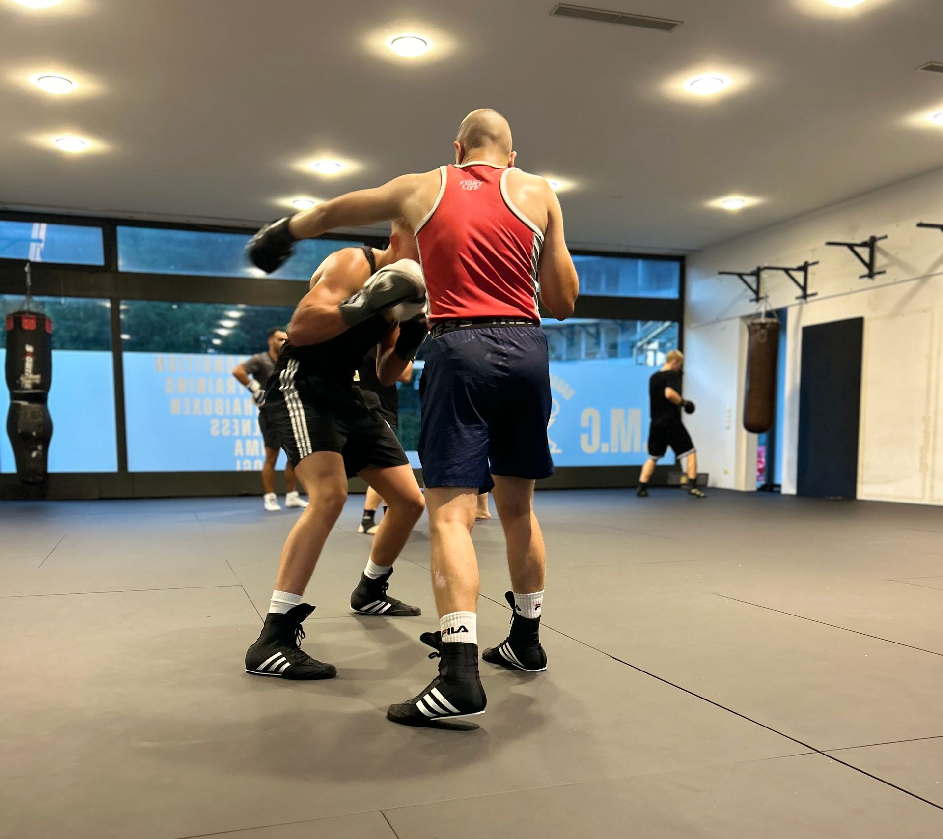 faust trifft auf boxsack