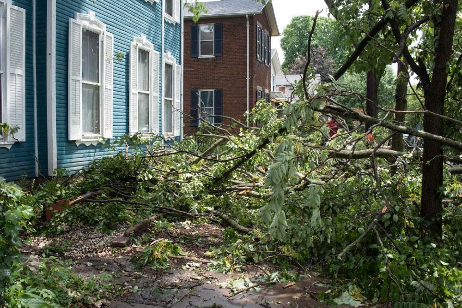 Fallen tree branches on a sidewalk, blocking the path, in front of blue and brick houses.