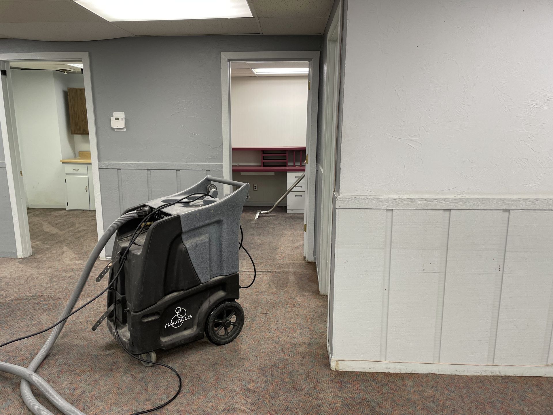 A carpet cleaner machine in a room with three doorways and white/gray walls.