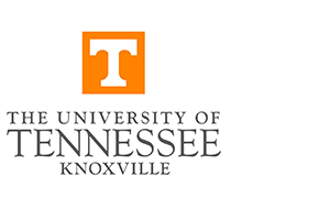 Placeholder Image that says Marquee Widget