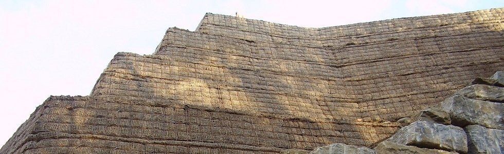 Ingegneria Naturalistica