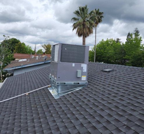 A roof with a palm tree in the background
