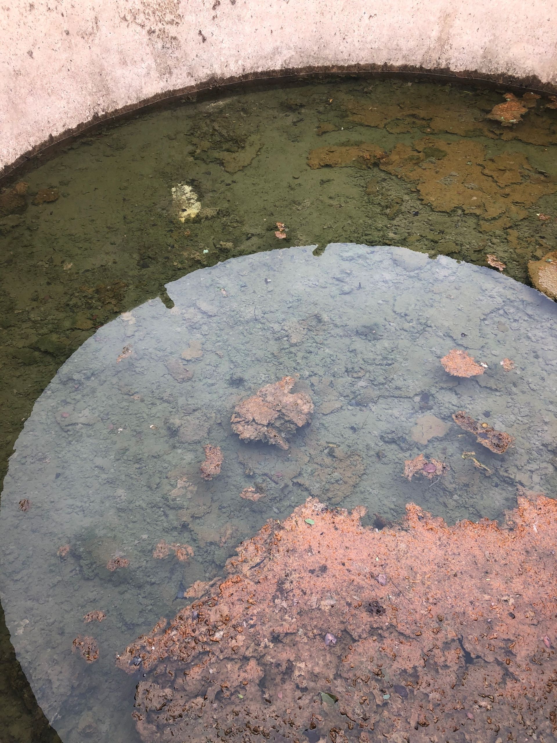 A Large White Water Tank Is Sitting In The Middle Of A Grassy Field – Bruthen, VIC - Gilmores Septic and Liquid Waste