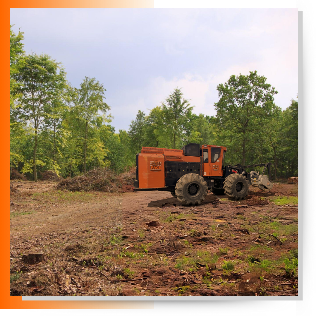 Pace Landworks mulching the land