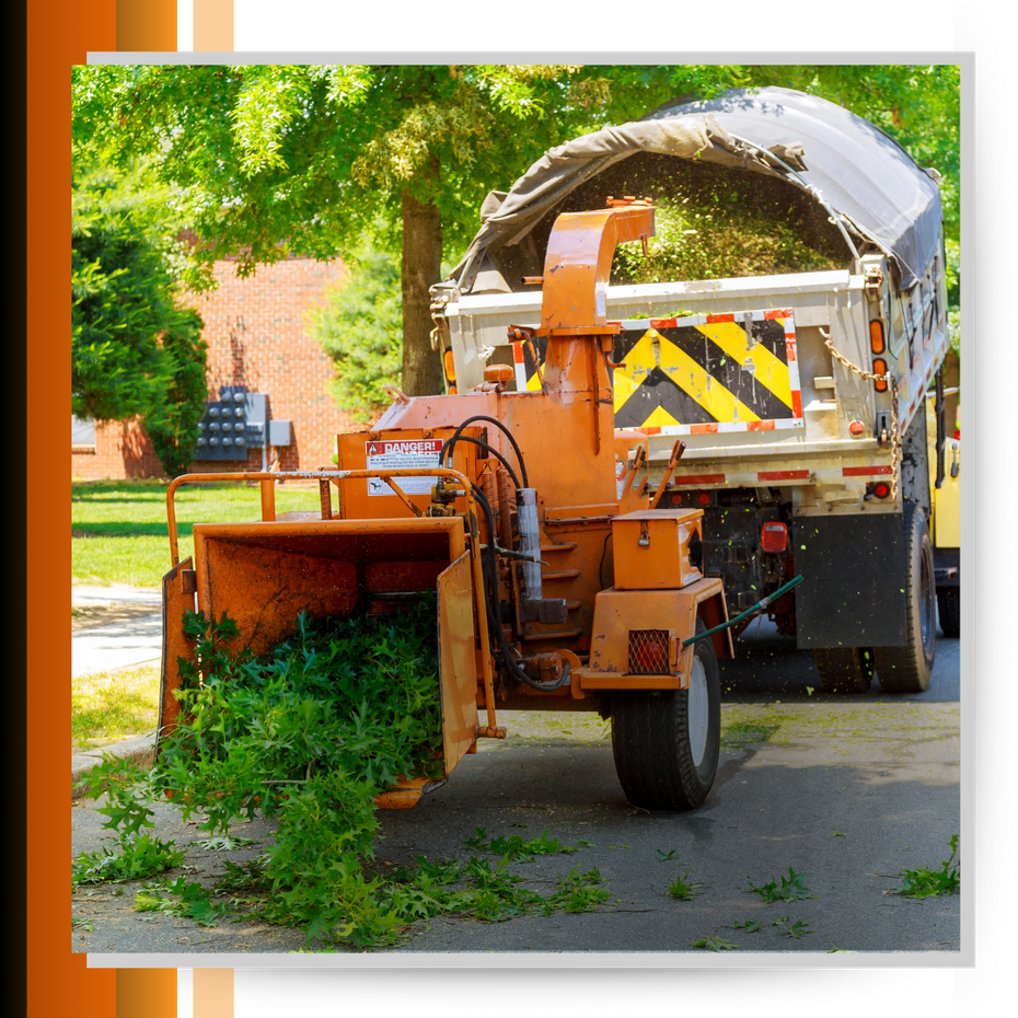 Forest mulcher
