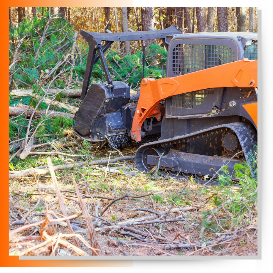 Pace Landworks shrub brush control