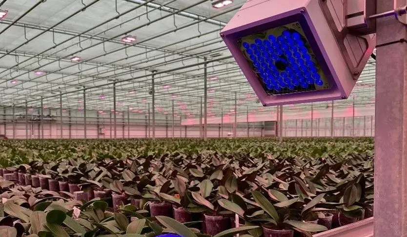 CF2GO fotosynthese  sensor in de kas 