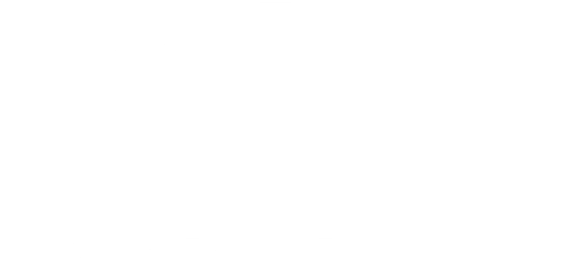 Logo vVardis