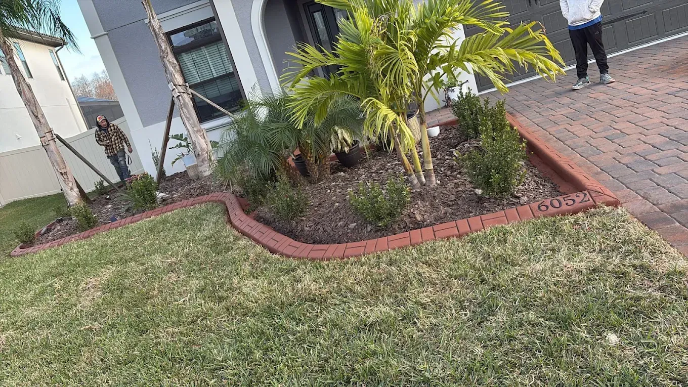Landscaped front yard with brick border, palm trees, and green grass.