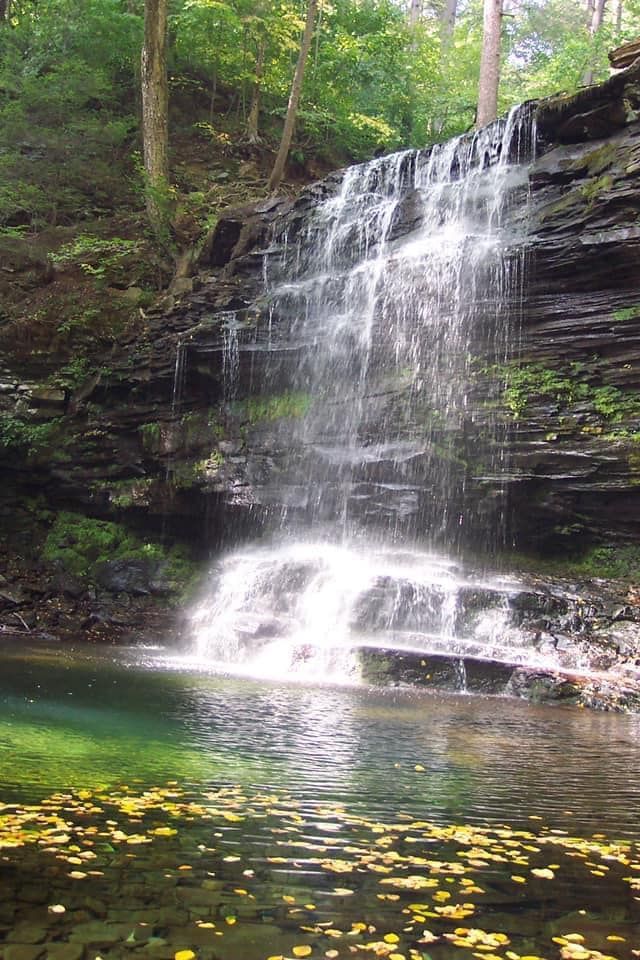 a waterfall is surrounded by trees and rocks in the middle of a forest .