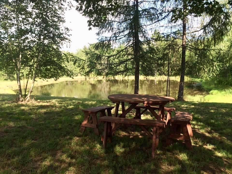 a wooden picnic table is sitting in the grass near a lake .