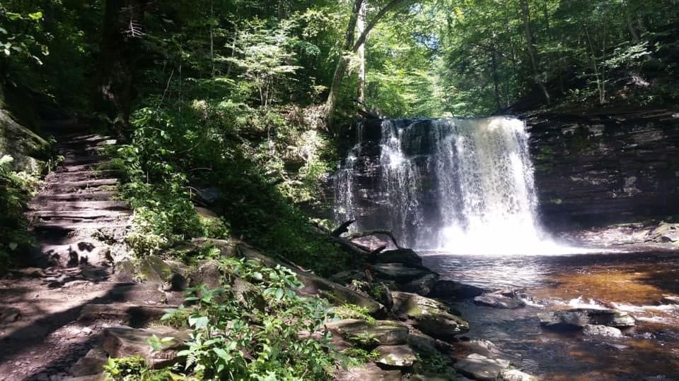 a waterfall is surrounded by trees and rocks in the middle of a forest .