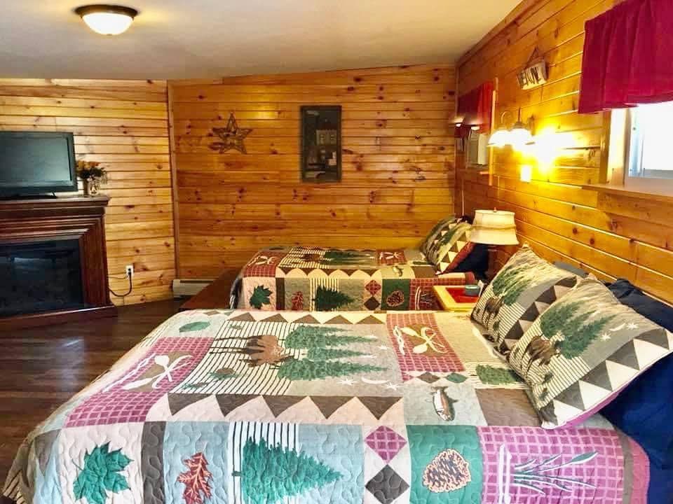 a bedroom in a log cabin with two beds and a television .