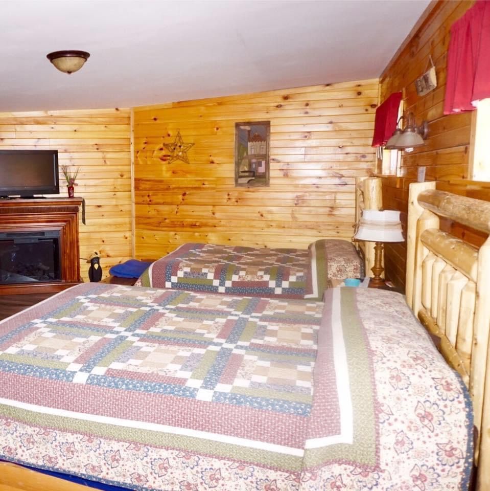 a bedroom with two beds and a fireplace