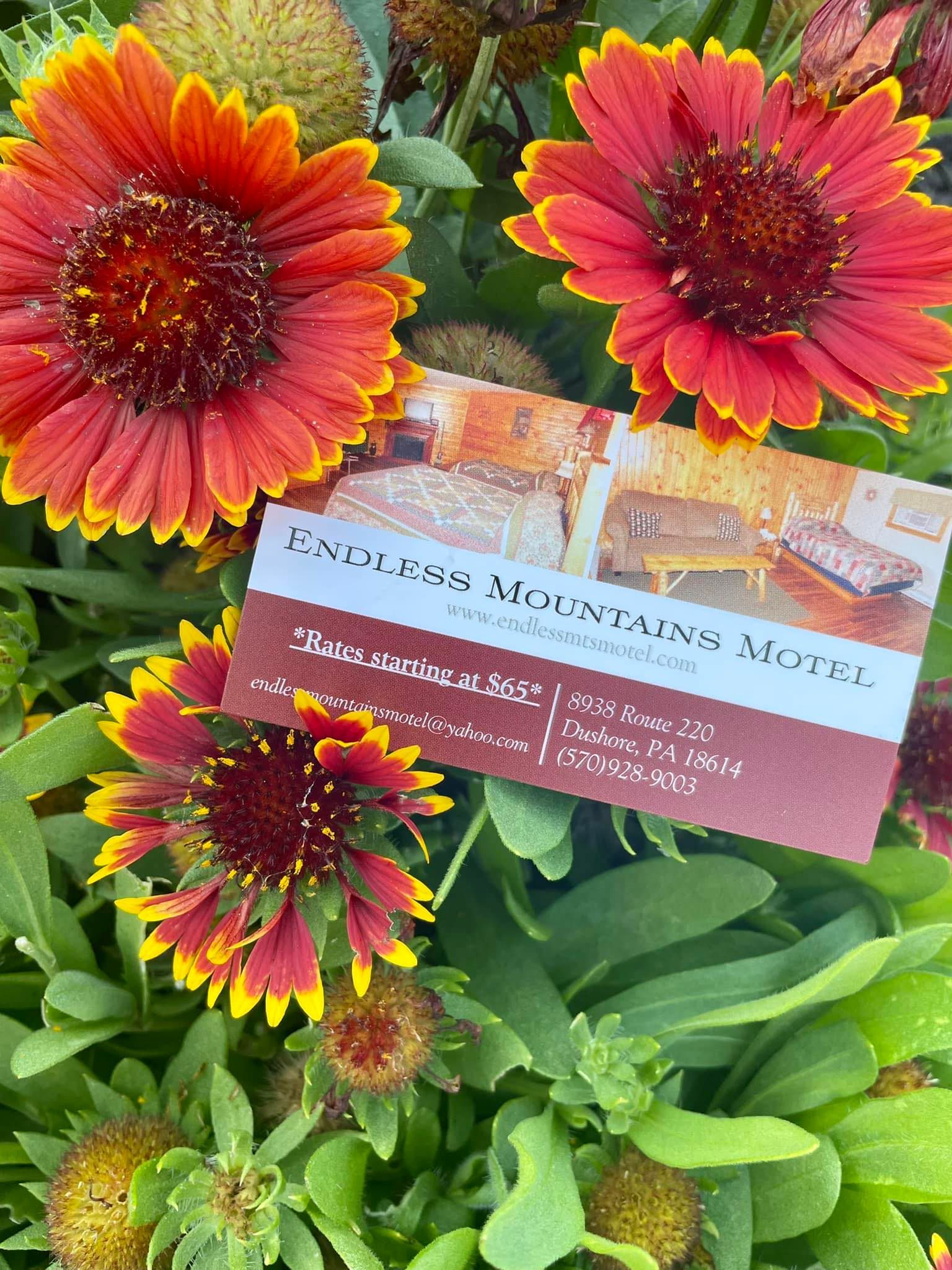 a business card for endless mountains motel is surrounded by flowers