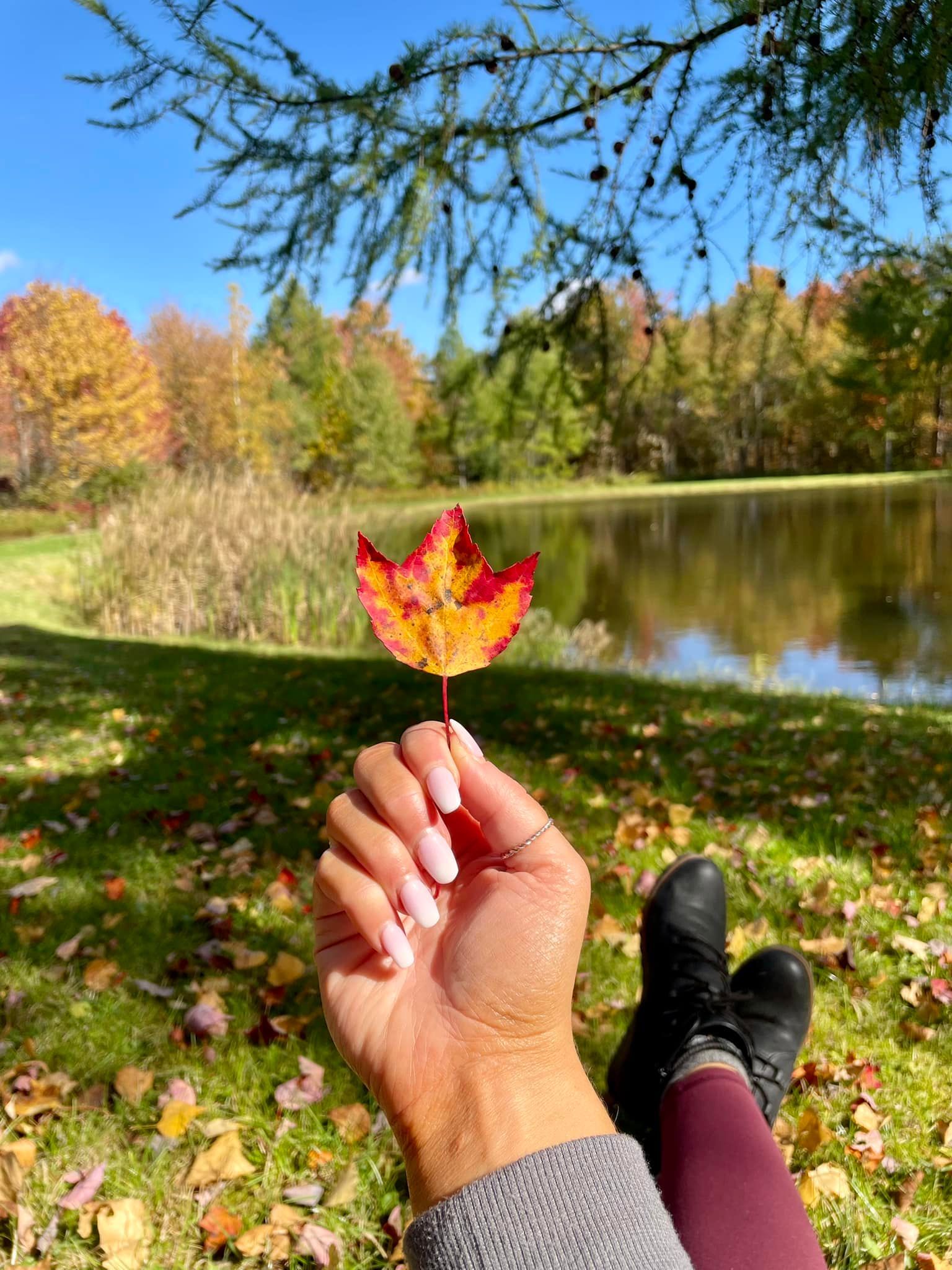 a person is holding a maple leaf in their hand in front of a lake .