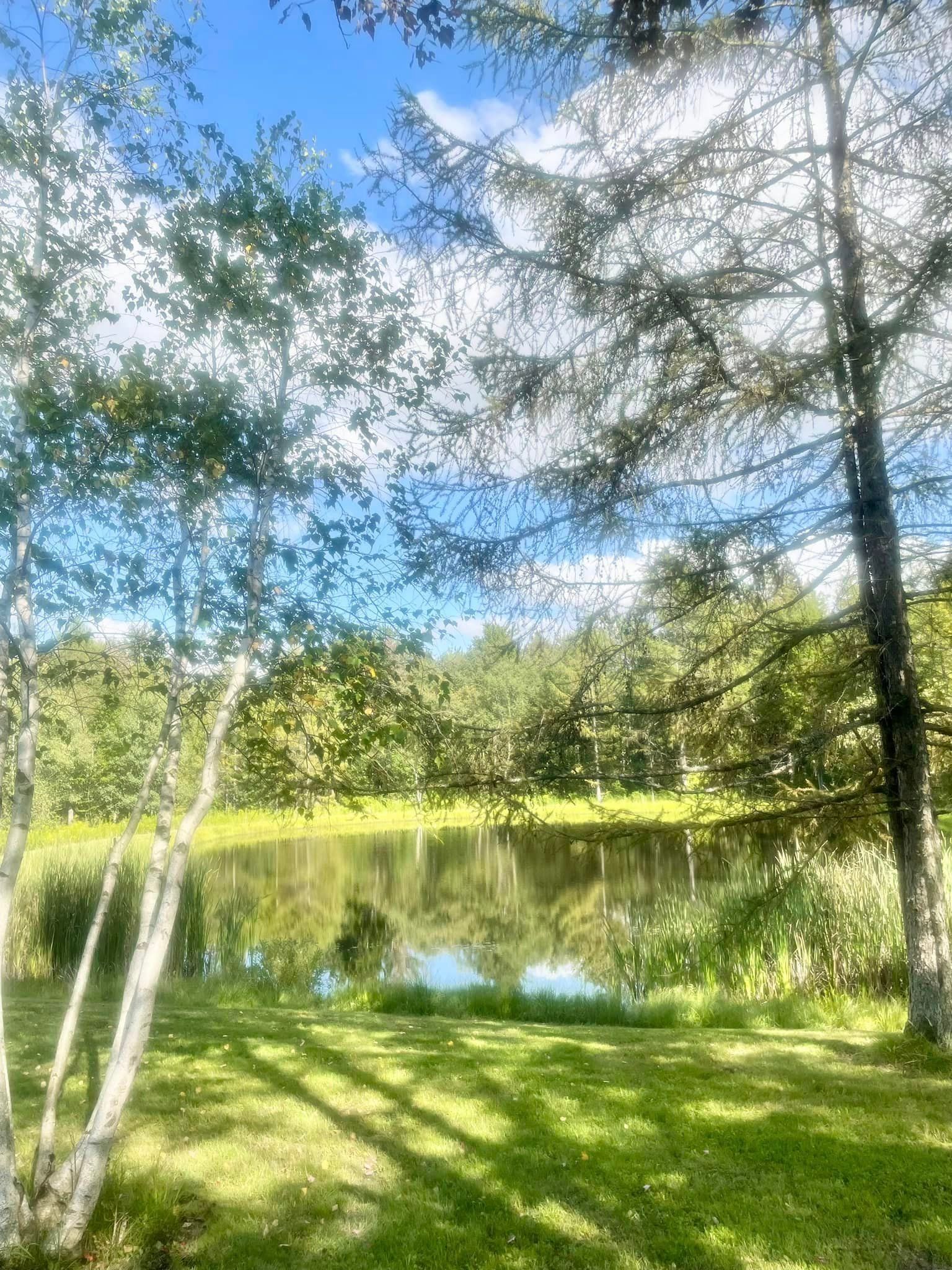 a lake surrounded by trees and grass on a sunny day .