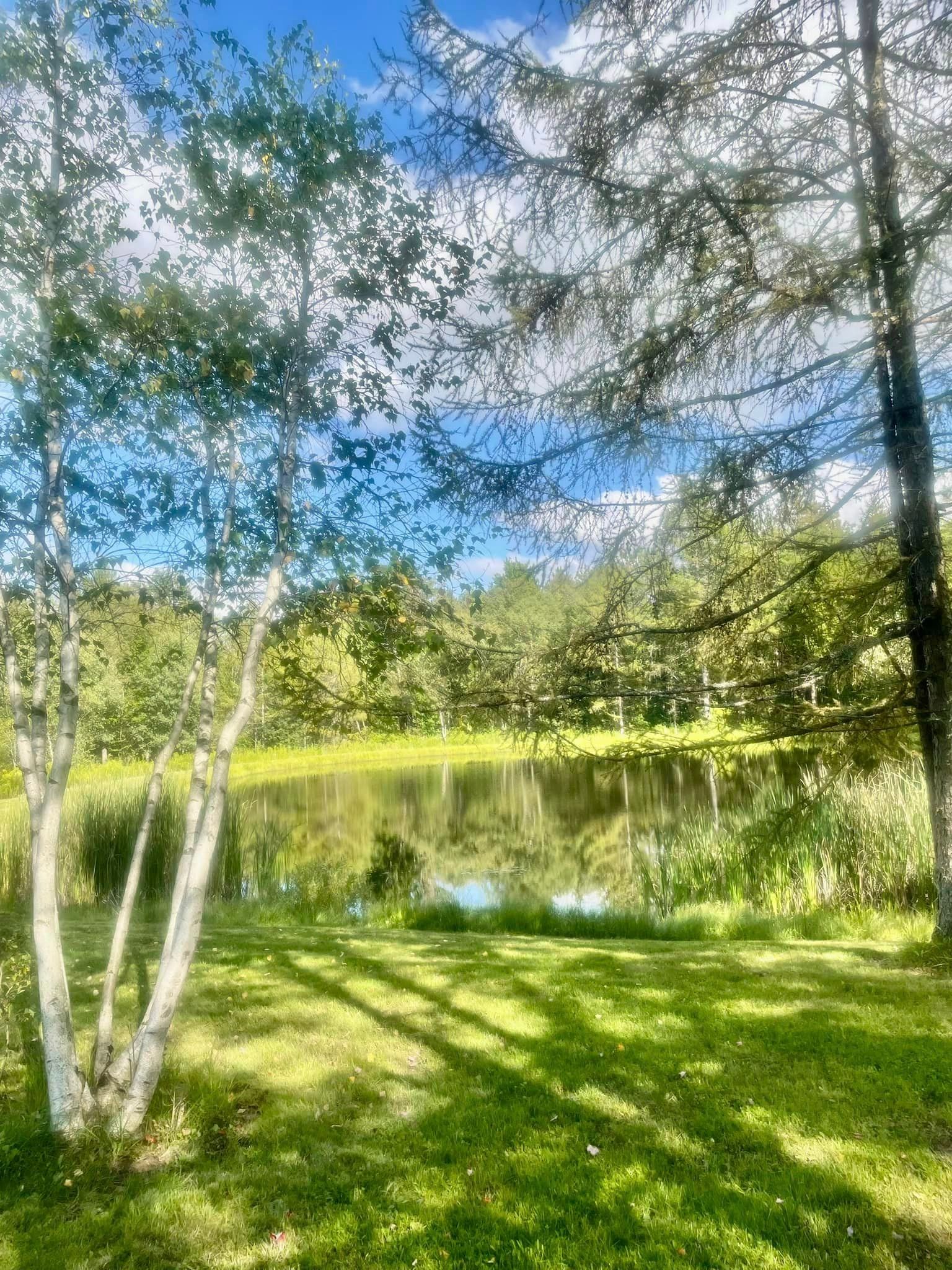 a lush green field with trees and a lake in the background .