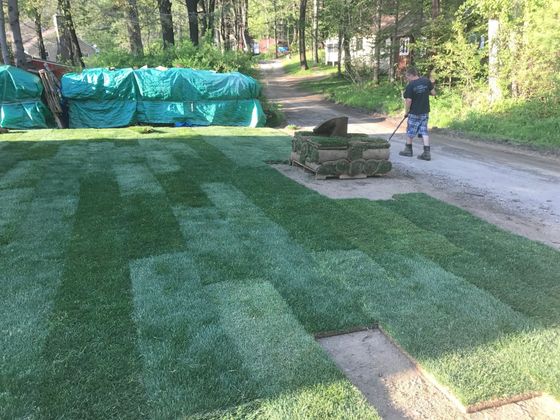 Laurelwood Landscapes - Lawn and Sod Installation Monson MA Palmer & Wales