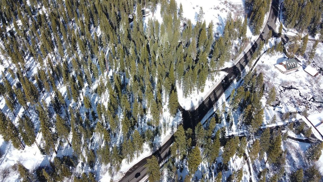 An aerial view of a train going through a snowy forest.