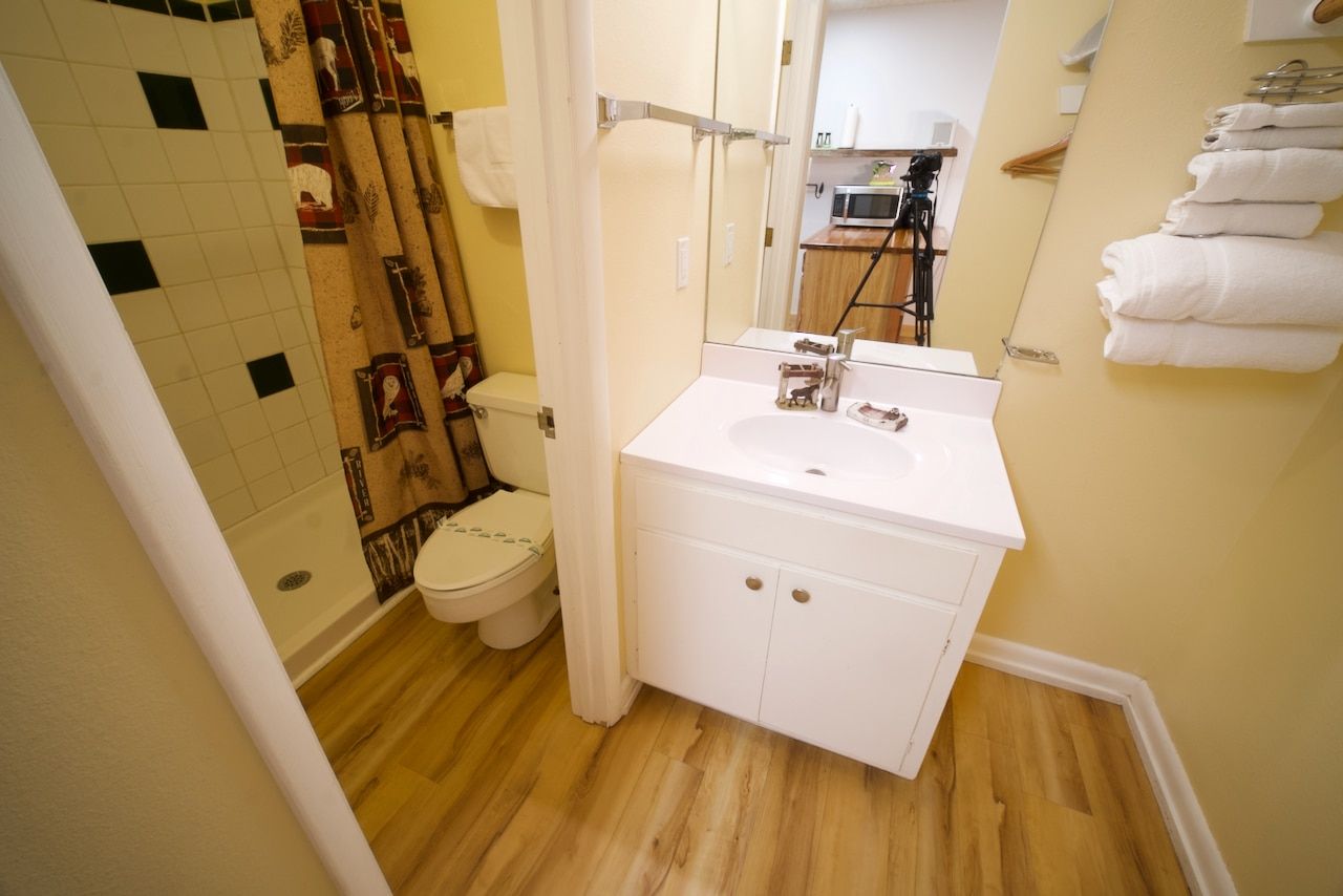 A bathroom with a sink a toilet and a shower