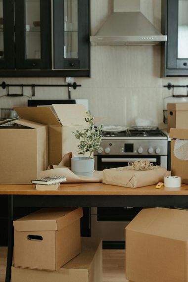 Unpacked kitchen with boxes, a stove, and a potted plant on the counter