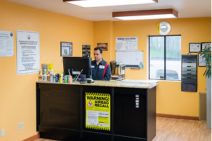 Man at auto shop counter, wearing work shirt, looking at computer screen. Brightly lit, yellow walls | Allegiance Automotive