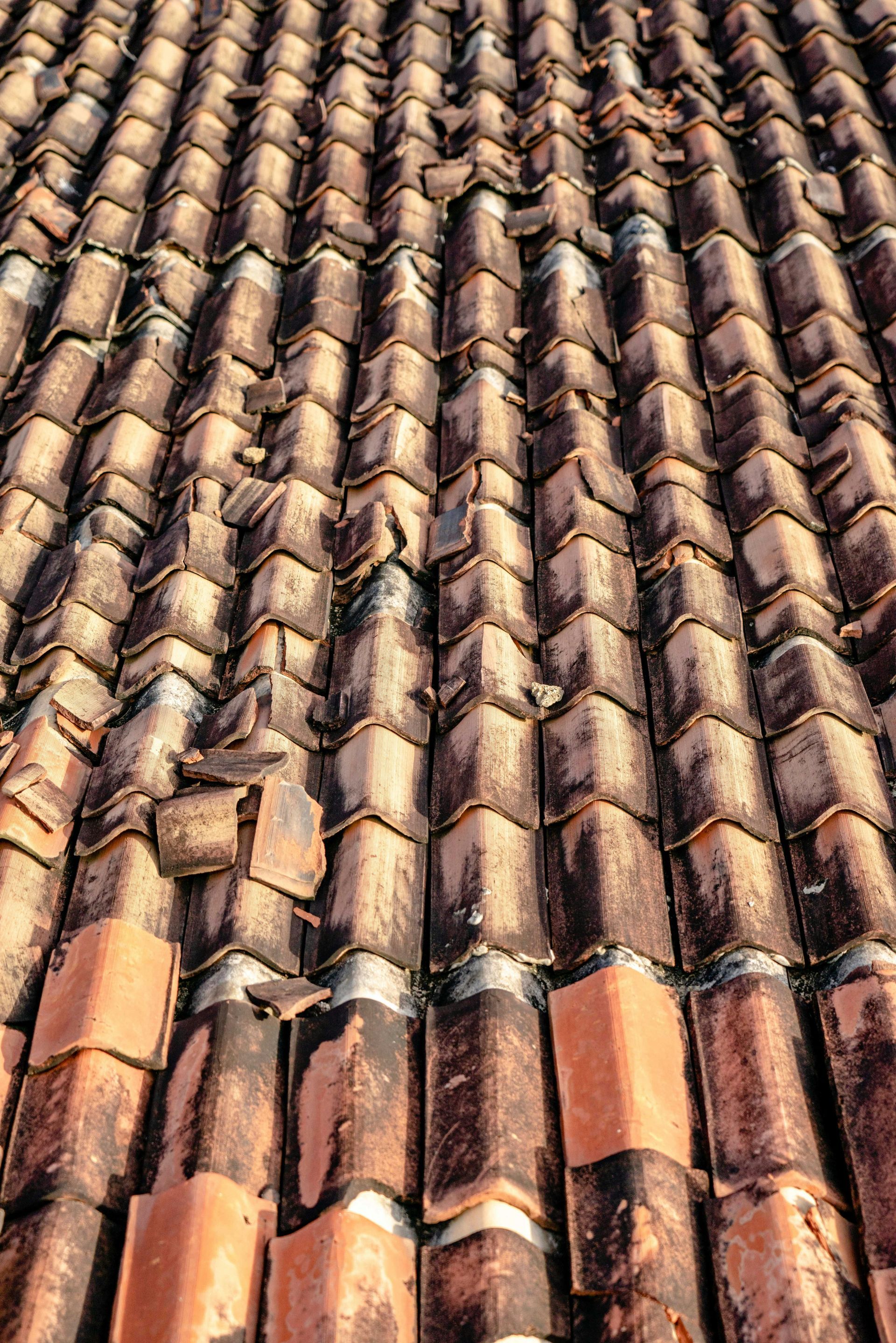 A close up of a row of tiles on a roof.