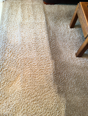 A carpet is being cleaned in a living room next to a wooden table.